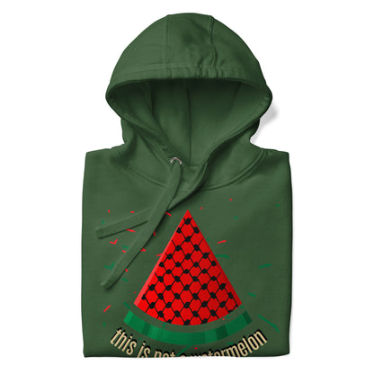 This is not a watermelon Hoodie / Palestine Solidarity - Exclusive by Kufeyeh