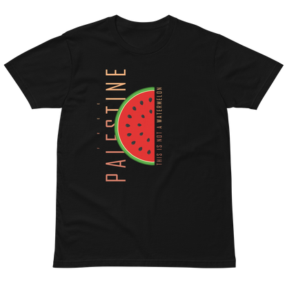 This is not a watermelon | Unisex premium t-shirt - Palestine Solidarity