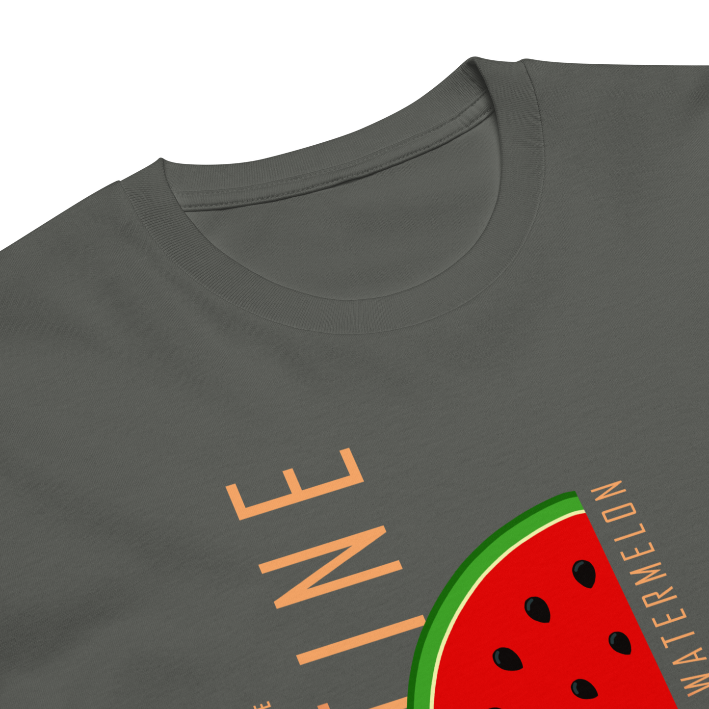 This is not a watermelon | Unisex premium t-shirt - Palestine Solidarity