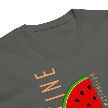 This is not a watermelon | Unisex premium t-shirt - Palestine Solidarity