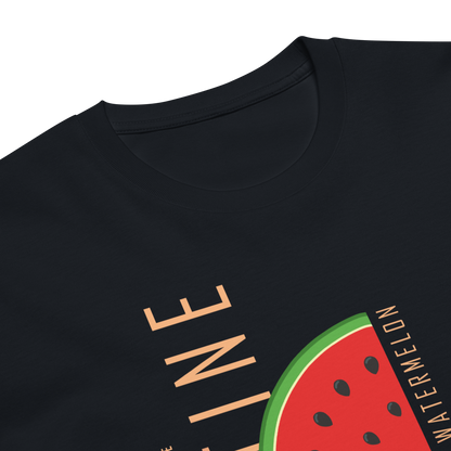 This is not a watermelon | Unisex premium t-shirt - Palestine Solidarity